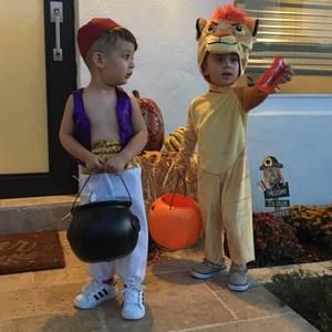 Meet your Posher, Rose